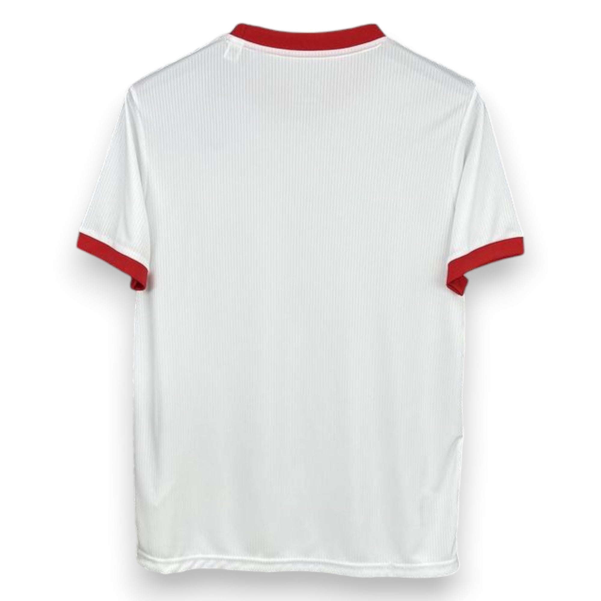 Benfica Anniversary Edition Jersey