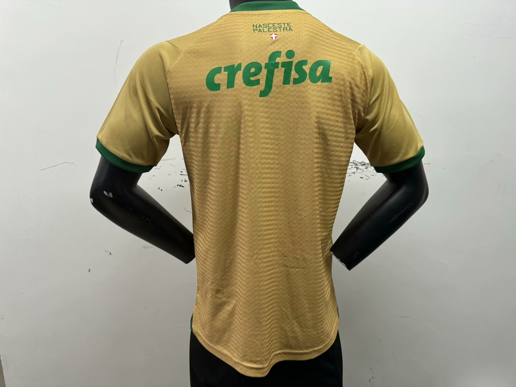 Palmeiras Player Third Jersey 2024/2025