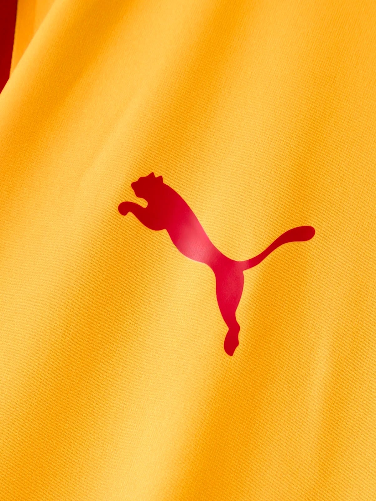 Home 26/27 Men's Jersey