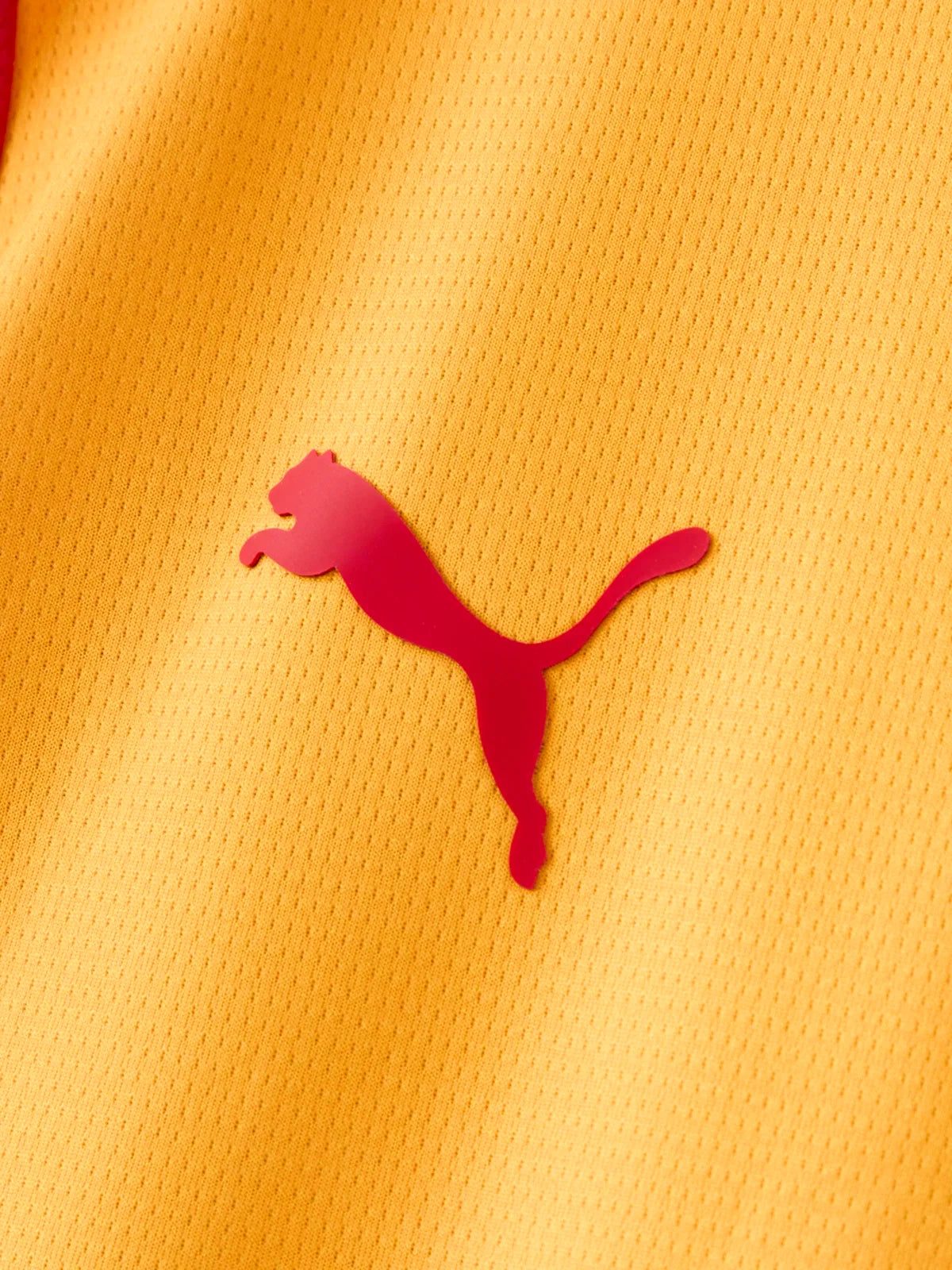 Third 26/27 Men's Fan Jersey