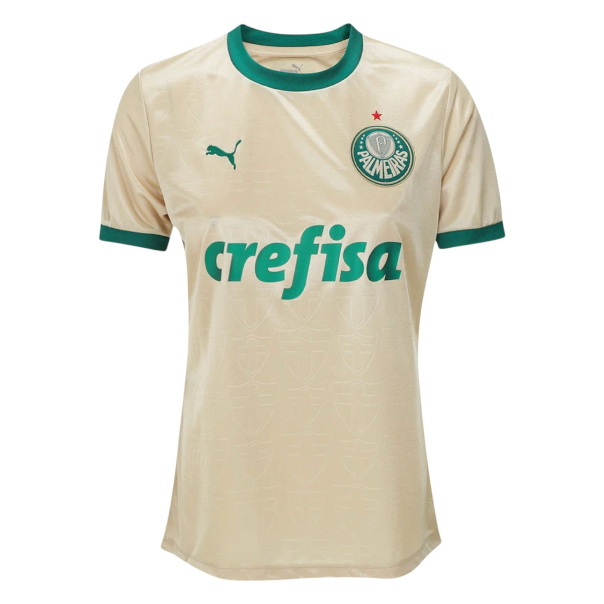 Palmeiras Third Jersey 2024/2025 - Women