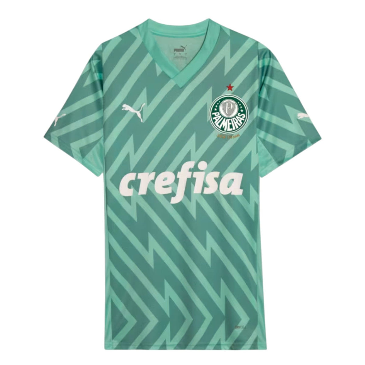 Palmeiras Goalkeeper III Jersey 2024/2025