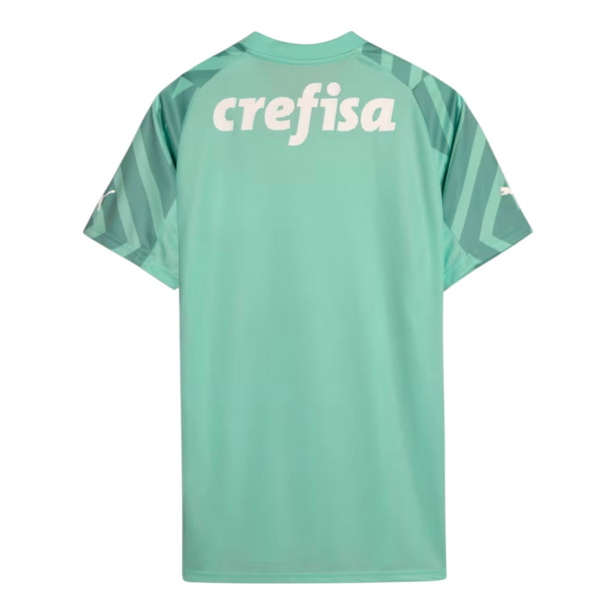 Palmeiras Goalkeeper III Jersey 2024/2025