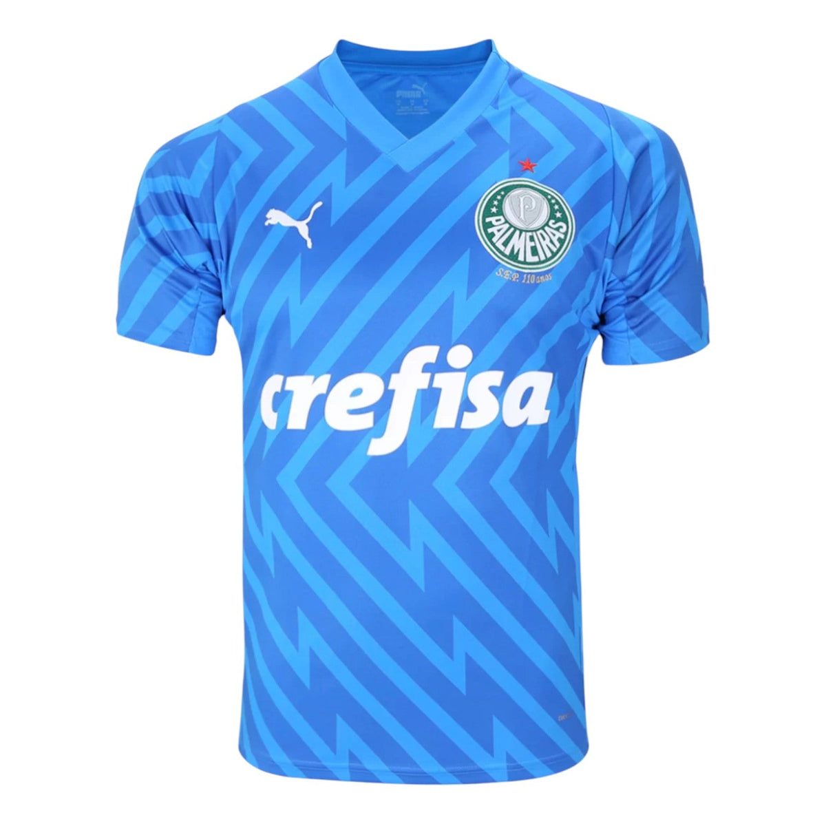 Palmeiras Goalkeeper II Jersey 2024/2025