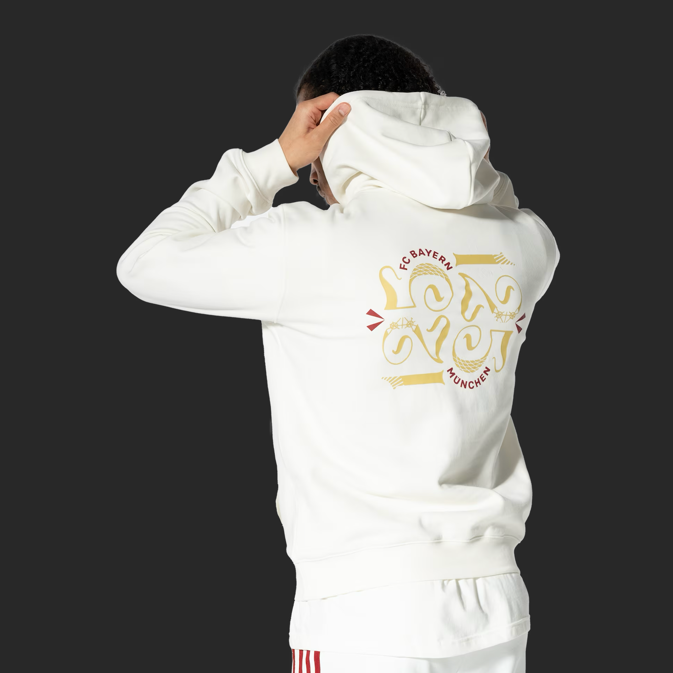 Bayern Munich Hoodie 125th Anniversary Gray