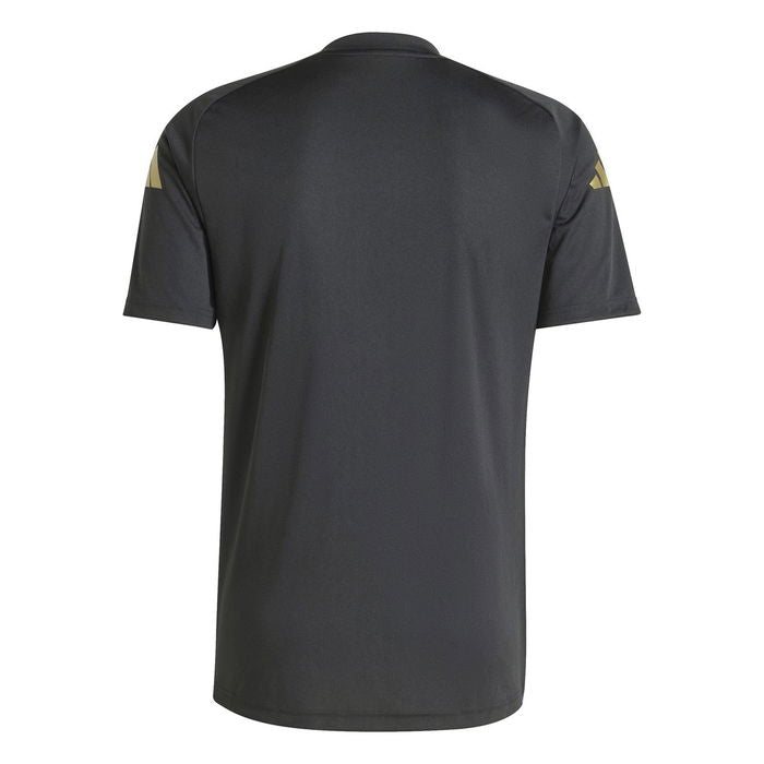 Argentina Prﾃｩ Match Jersey 2024/2025