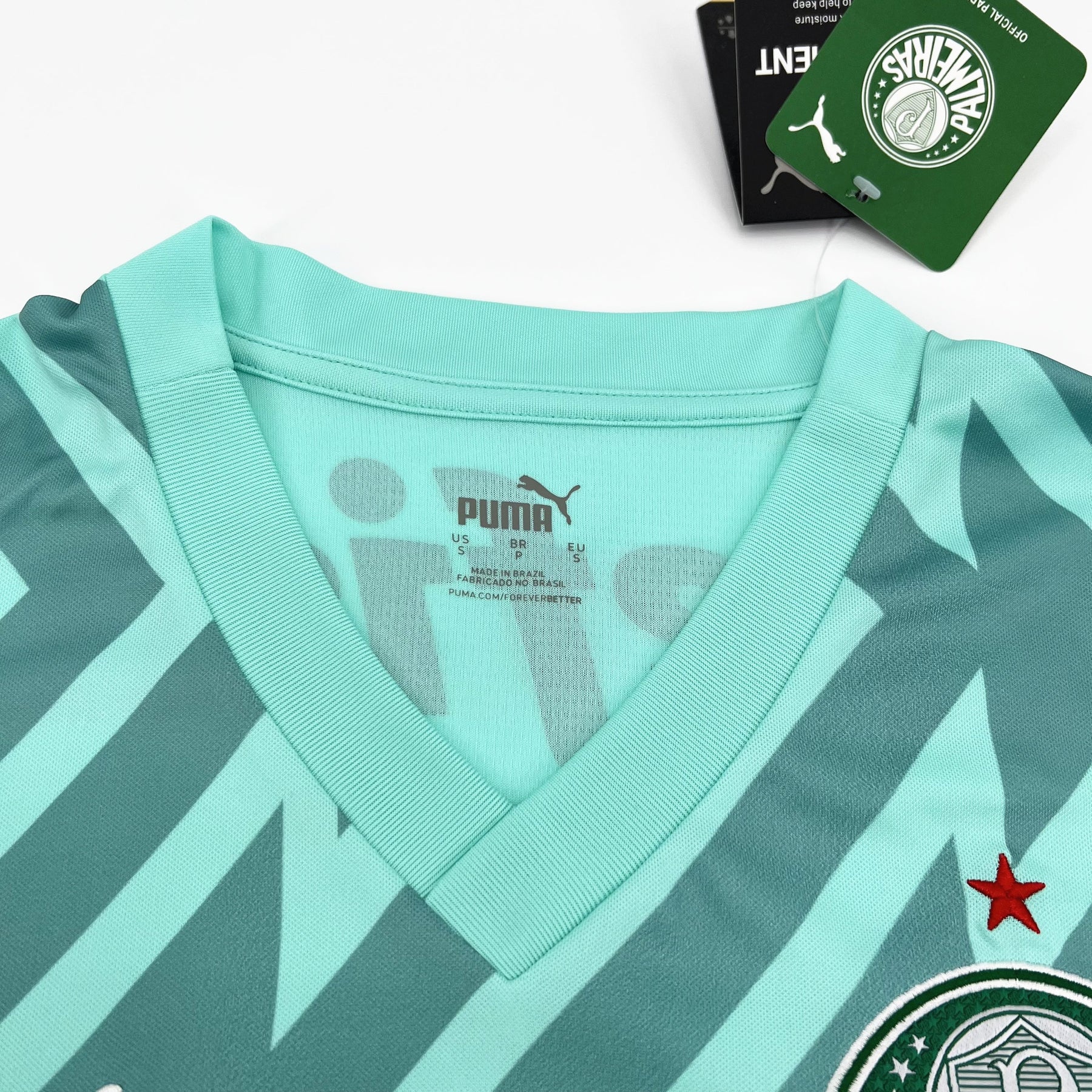 Palmeiras Goalkeeper III Jersey 2024/2025