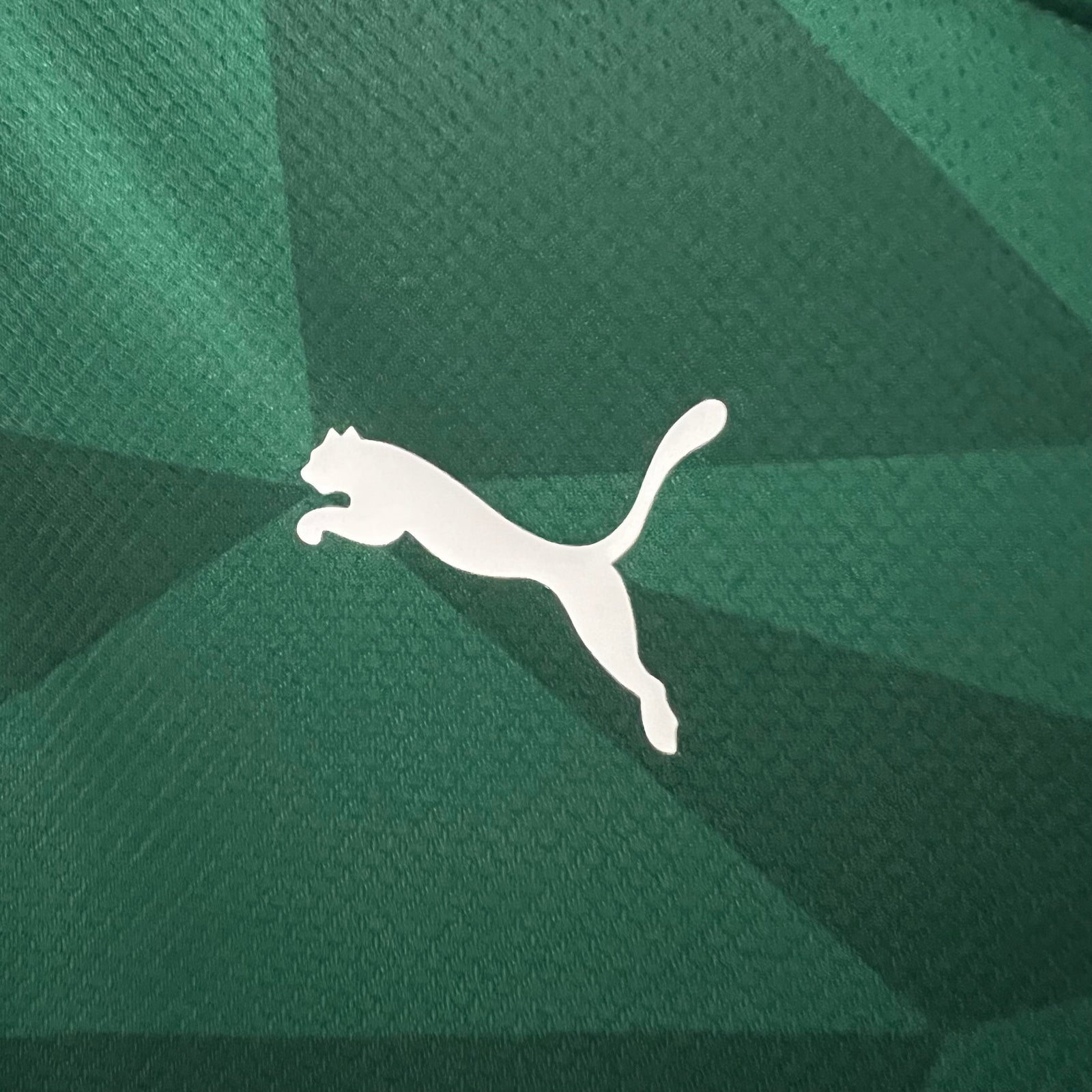 Palmeiras Home Jersey 23/24
