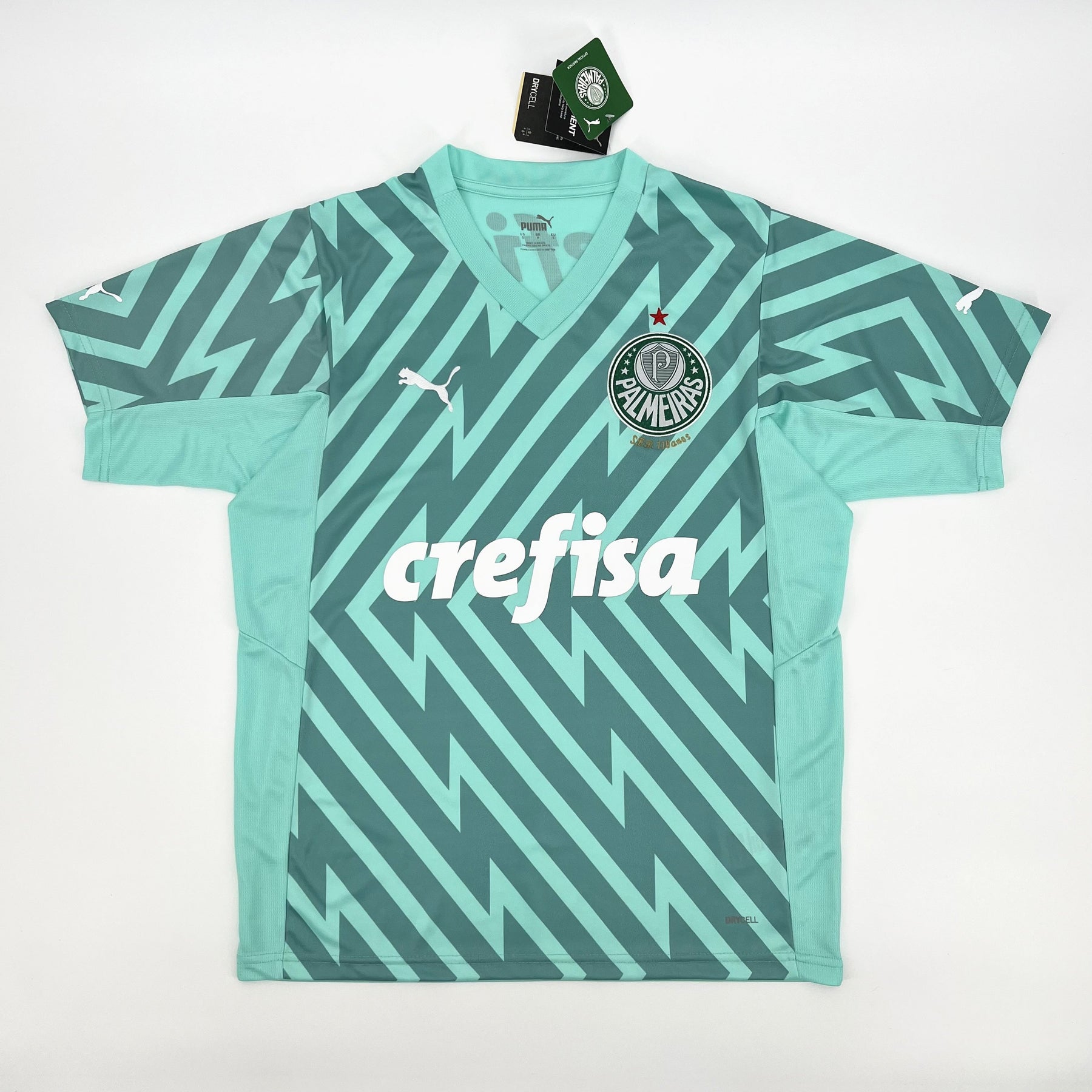 Palmeiras Goalkeeper III Jersey 2024/2025