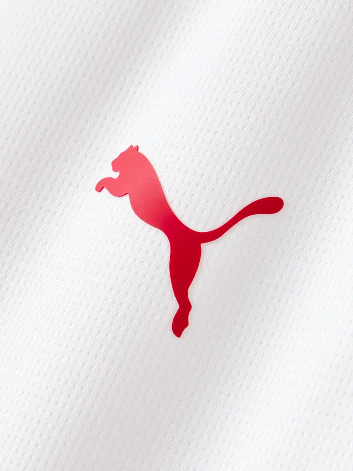 Third 26/27 Men's Fan Jersey