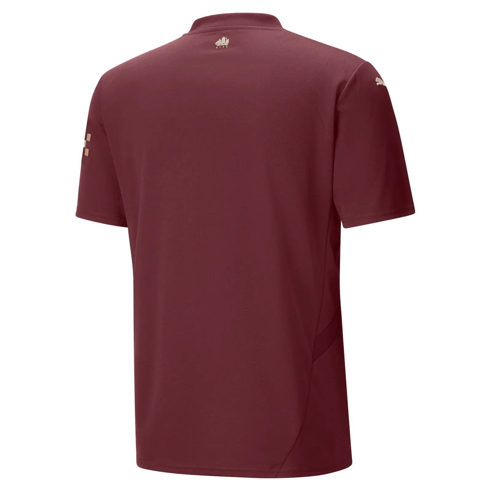 Third 24/25 Men's Jersey