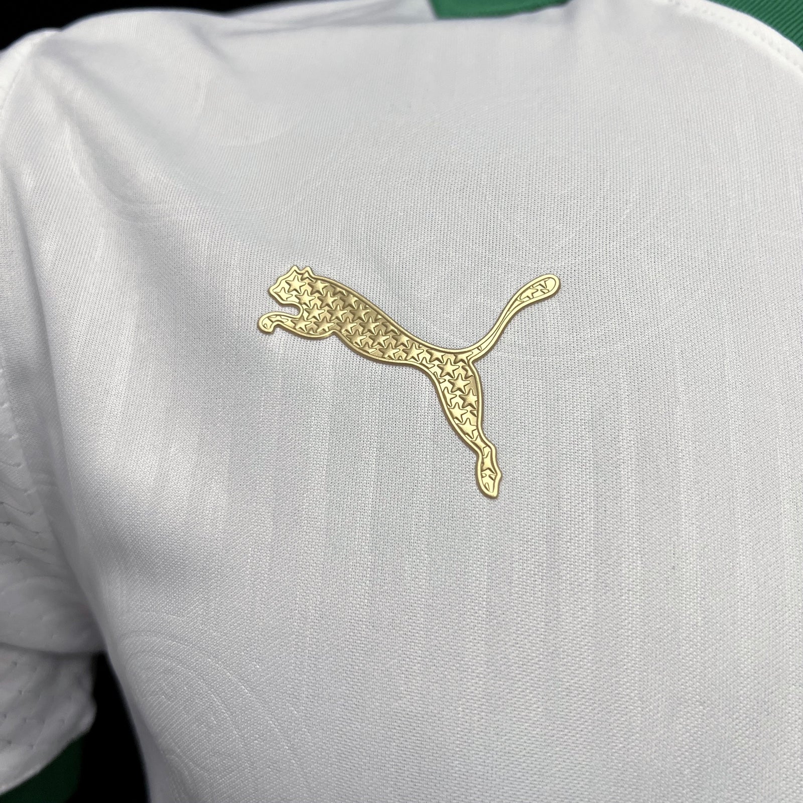 Away 24/25 Men's Player Jersey