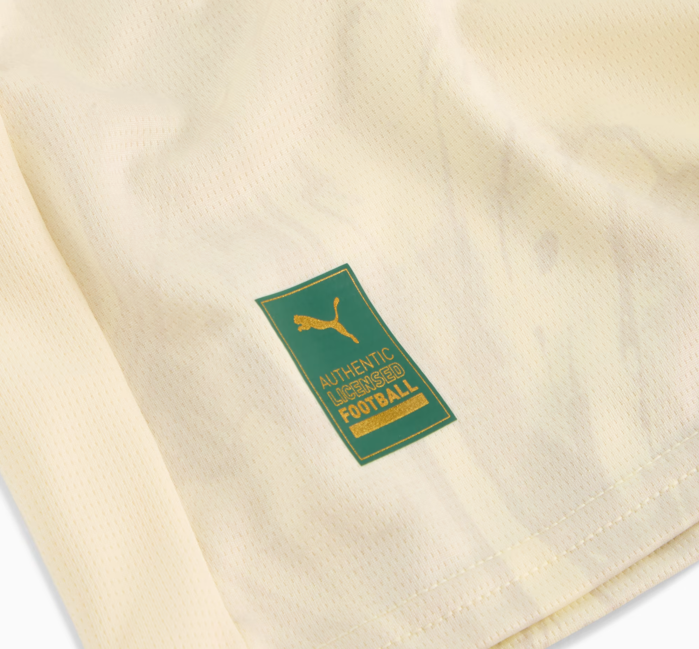 Jersey 25/26 Men's