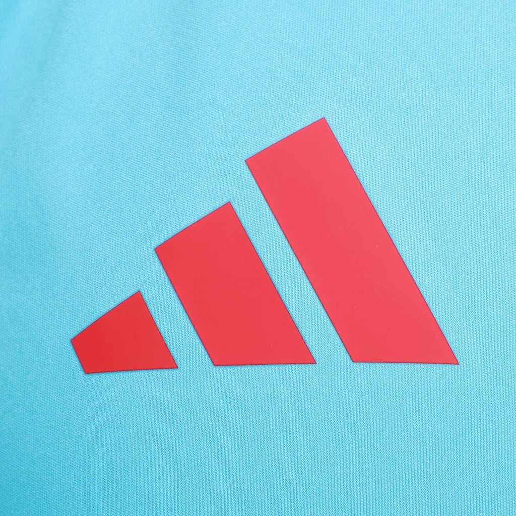 Sleeveless Flamengo CRF de Training 25/26 - Blue