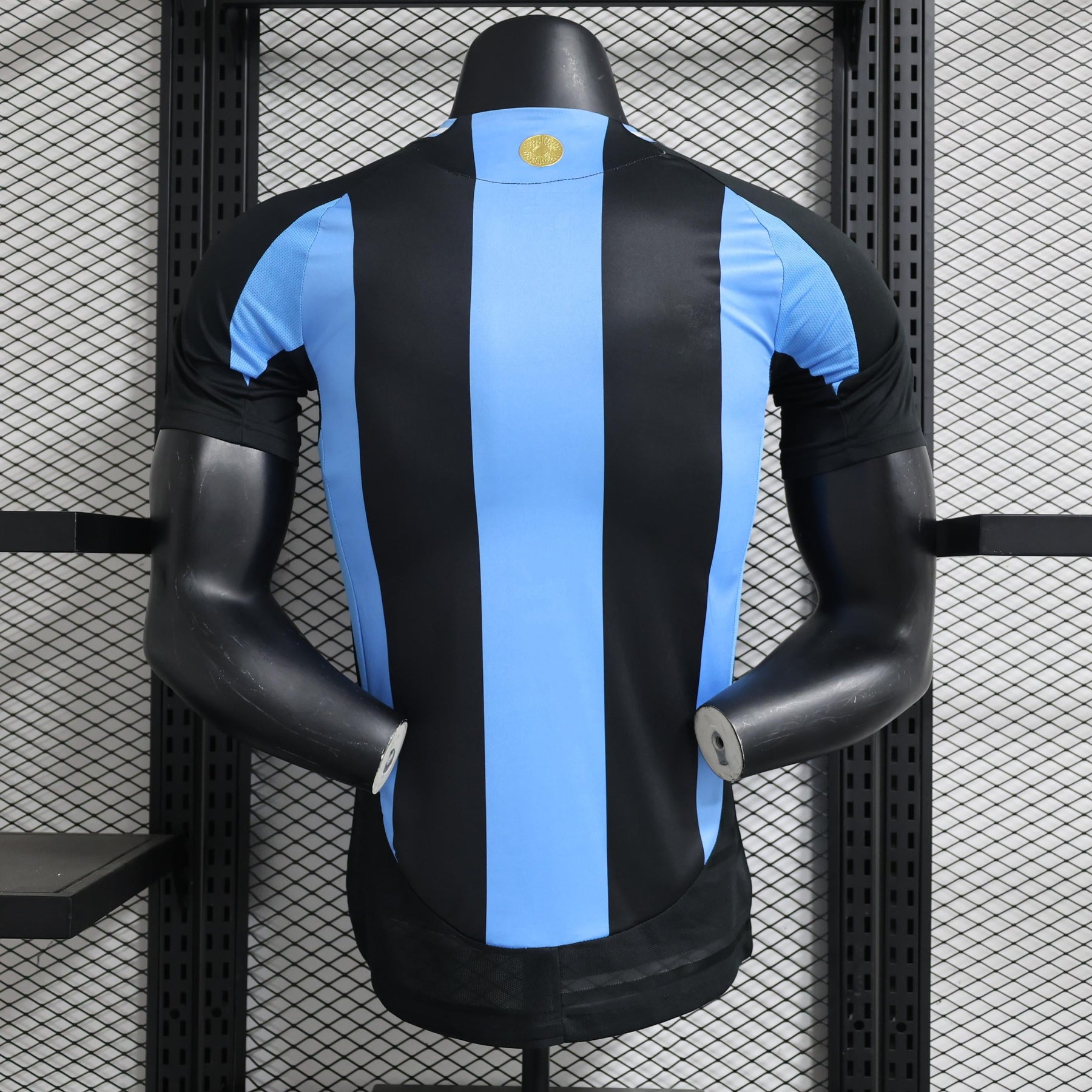 Argentina Edición especial I Camiseta 2024/25 - Versión Jugador