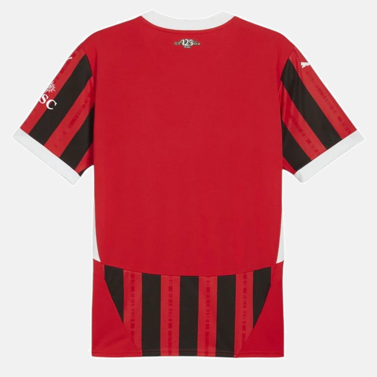 Home 24/25 Men's Jersey