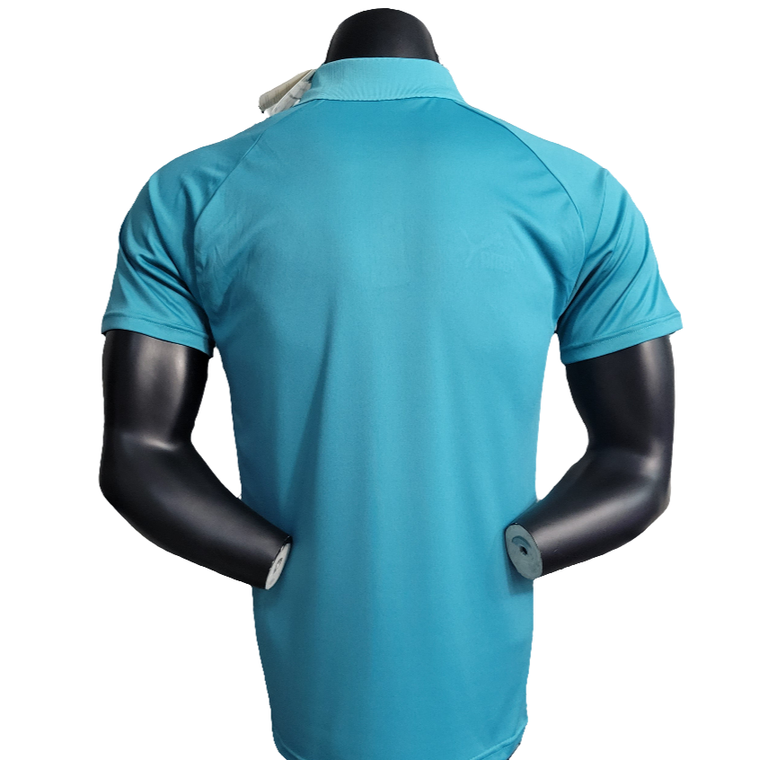 Palmeiras 23/24 Polo Edition Jersey - Light Green - Fan Version