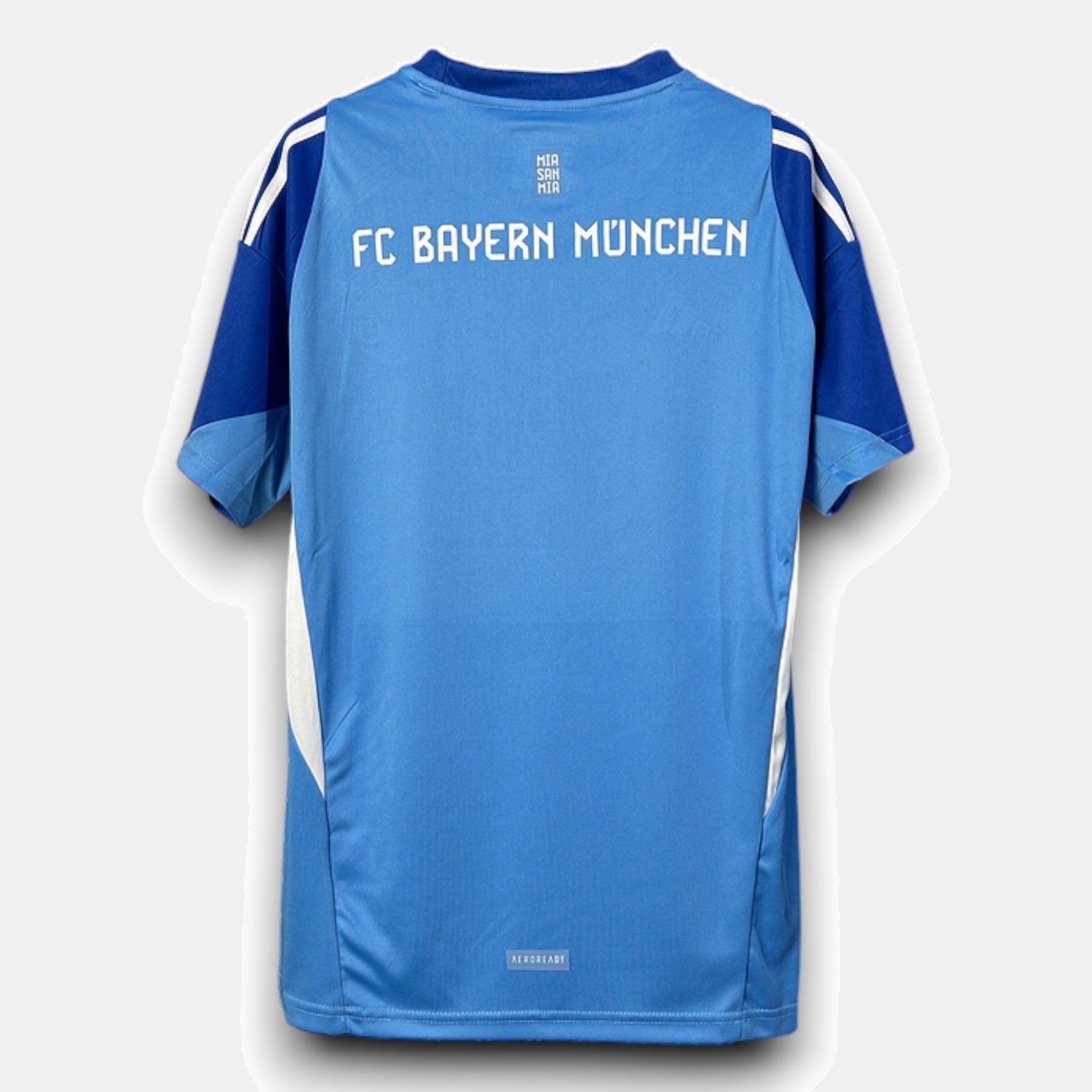 Goalkeeper 25/26 Men's Jersey