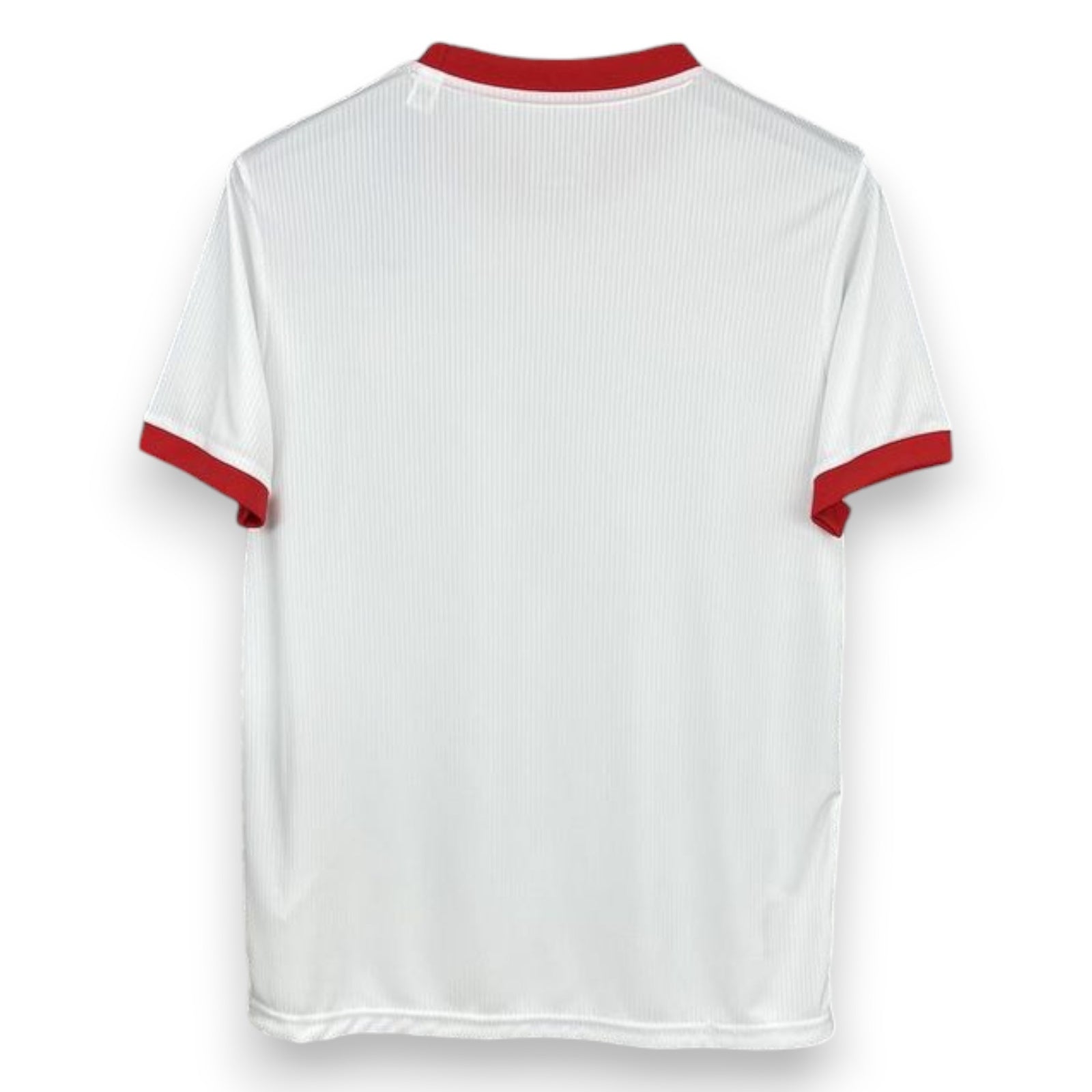 Benfica Anniversary Edition Jersey