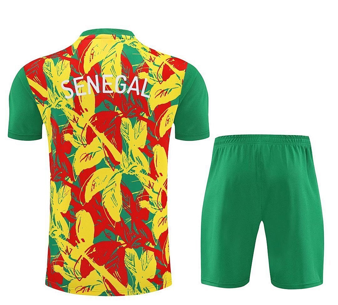 Senegal 2025 Training Kit