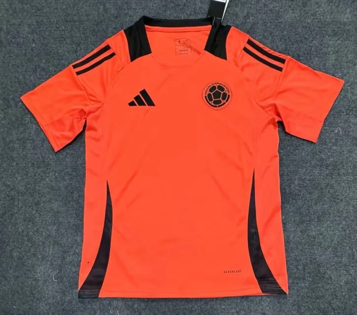 Camiseta de entrenamiento de Colombia 2024/2025