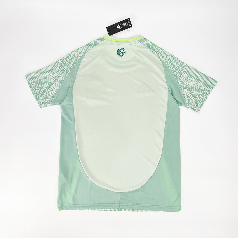 Away 24/25 Men's Jersey