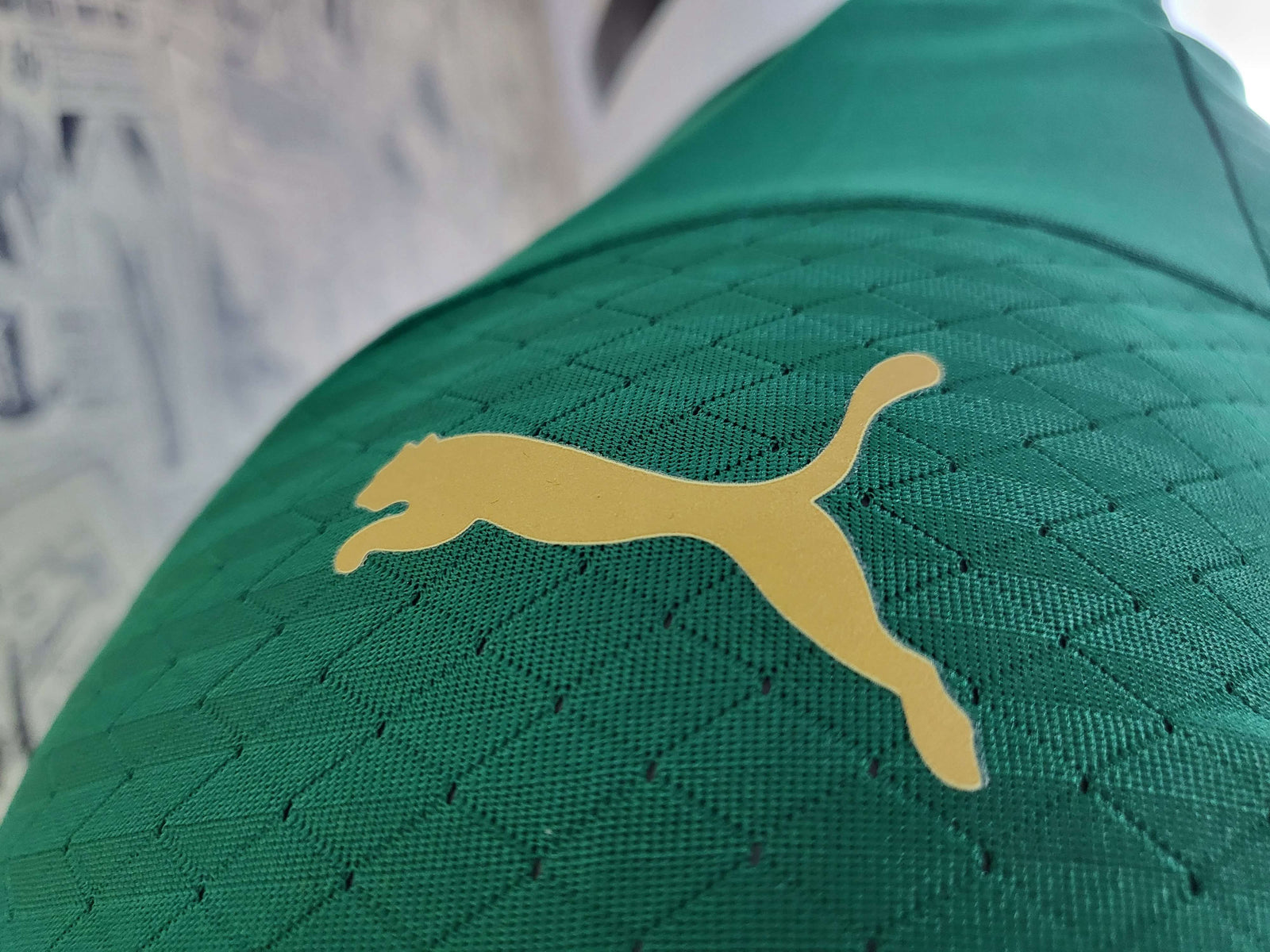 Home 24/25 Men's Player Jersey
