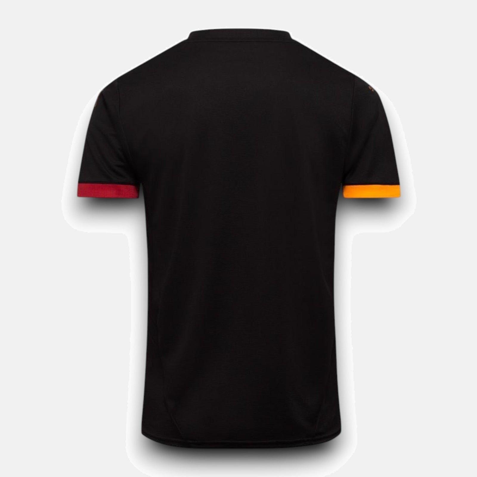 Jersey 24/25 Men's Player