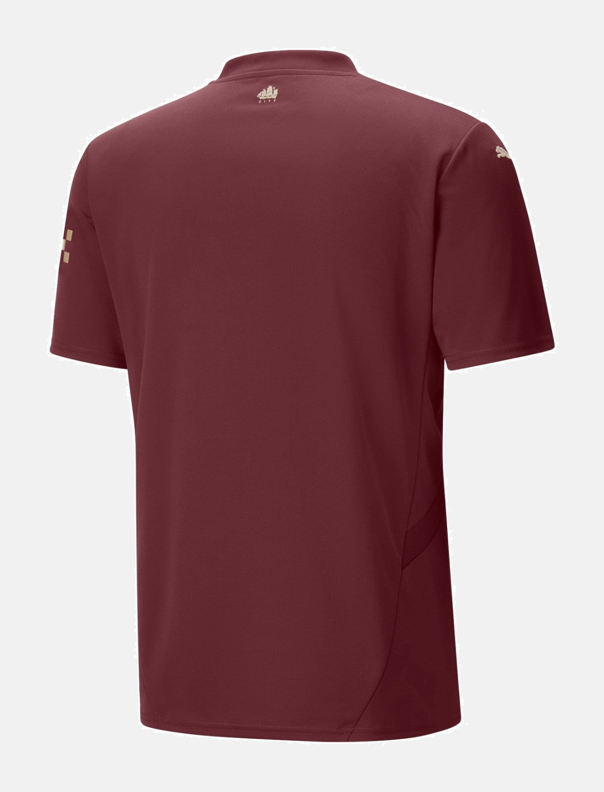 Third 24/25 Men's Player Jersey