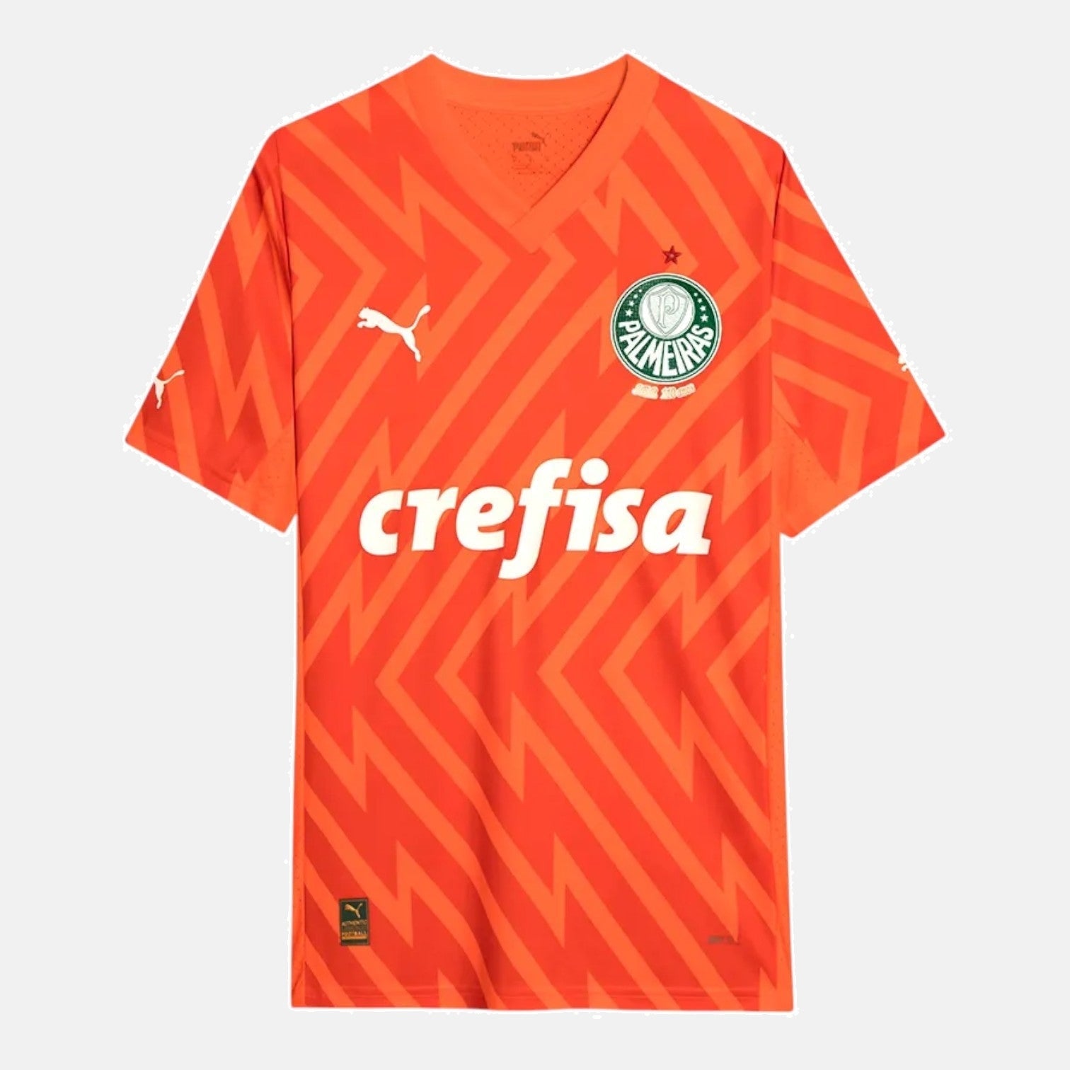 Goalkeeper 24/25 Men's Jersey