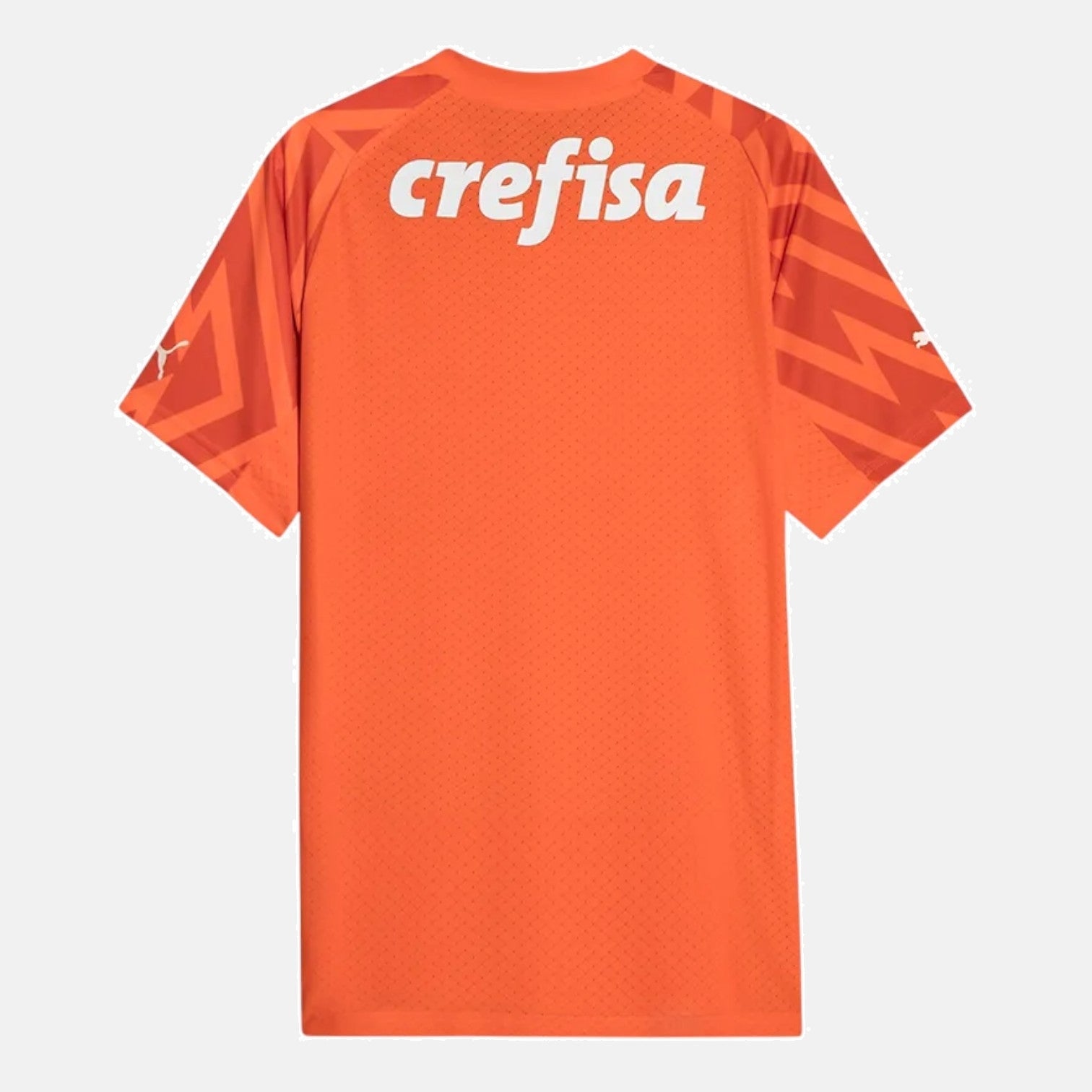 Goalkeeper 24/25 Men's Jersey