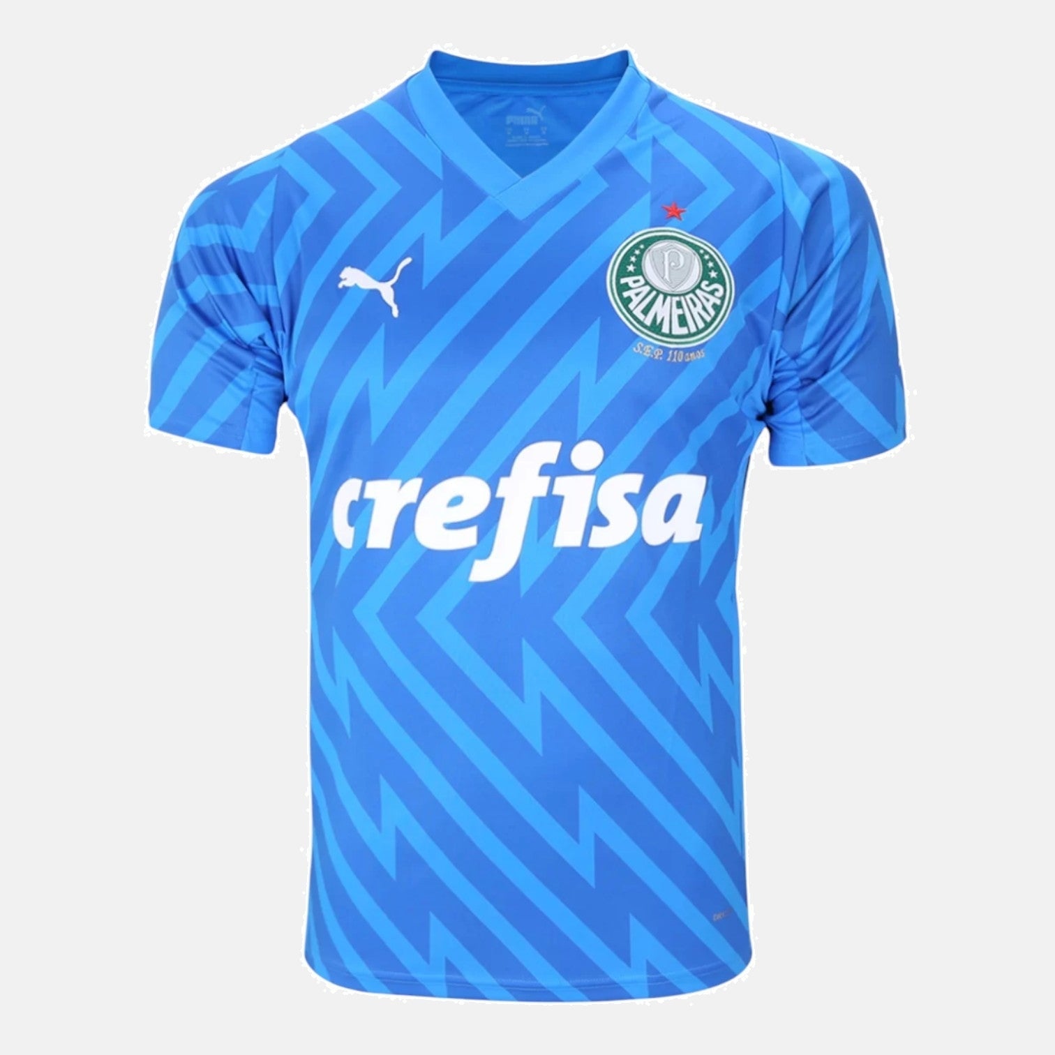 Goalkeeper 24/25 Men's Jersey
