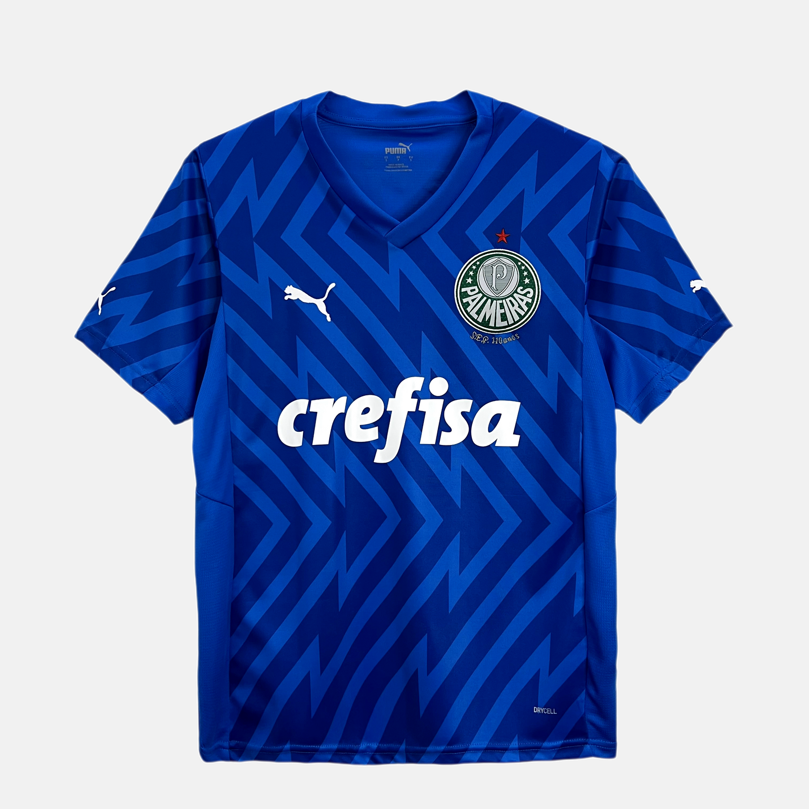 Goalkeeper 24/25 Men's Jersey