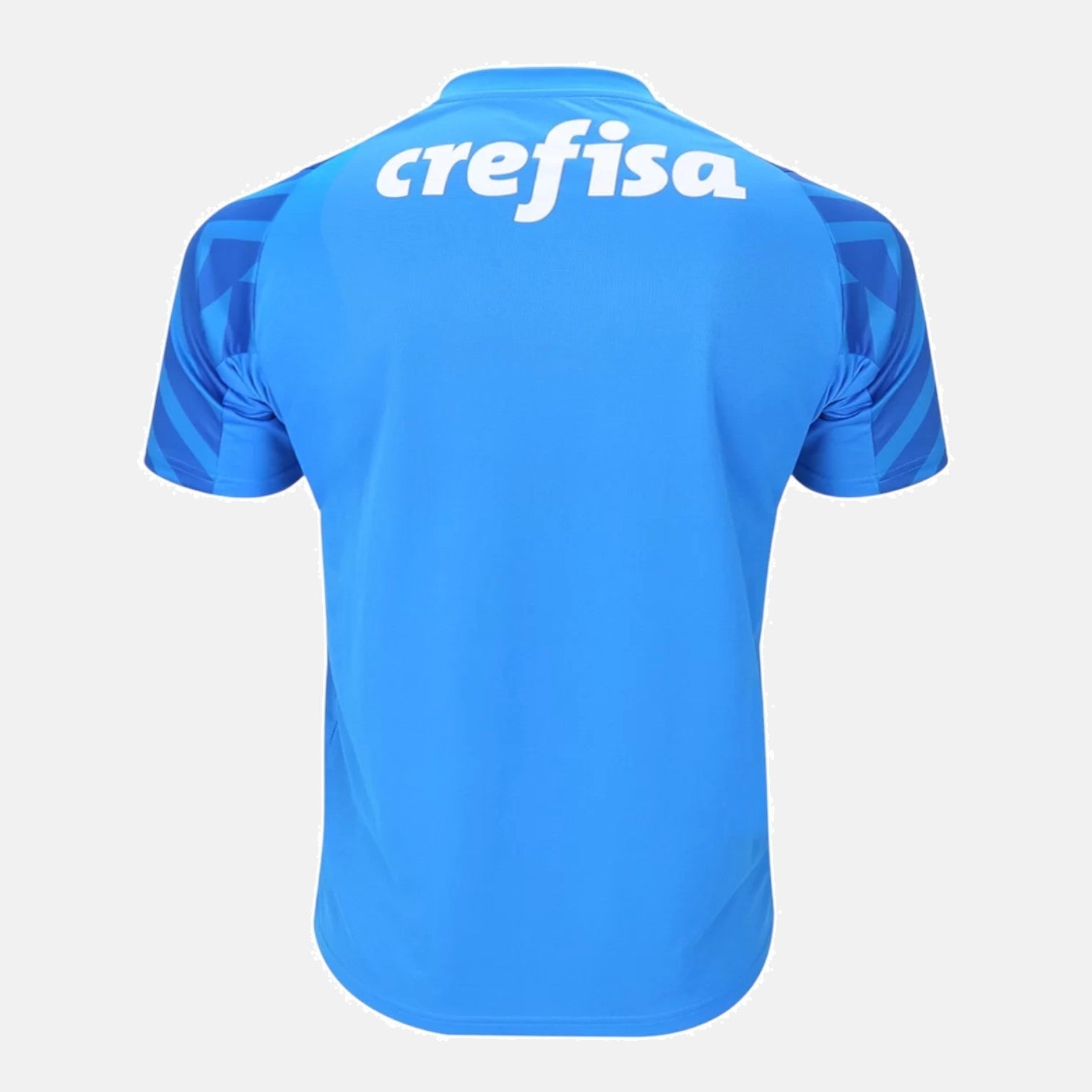 Goalkeeper 24/25 Men's Jersey