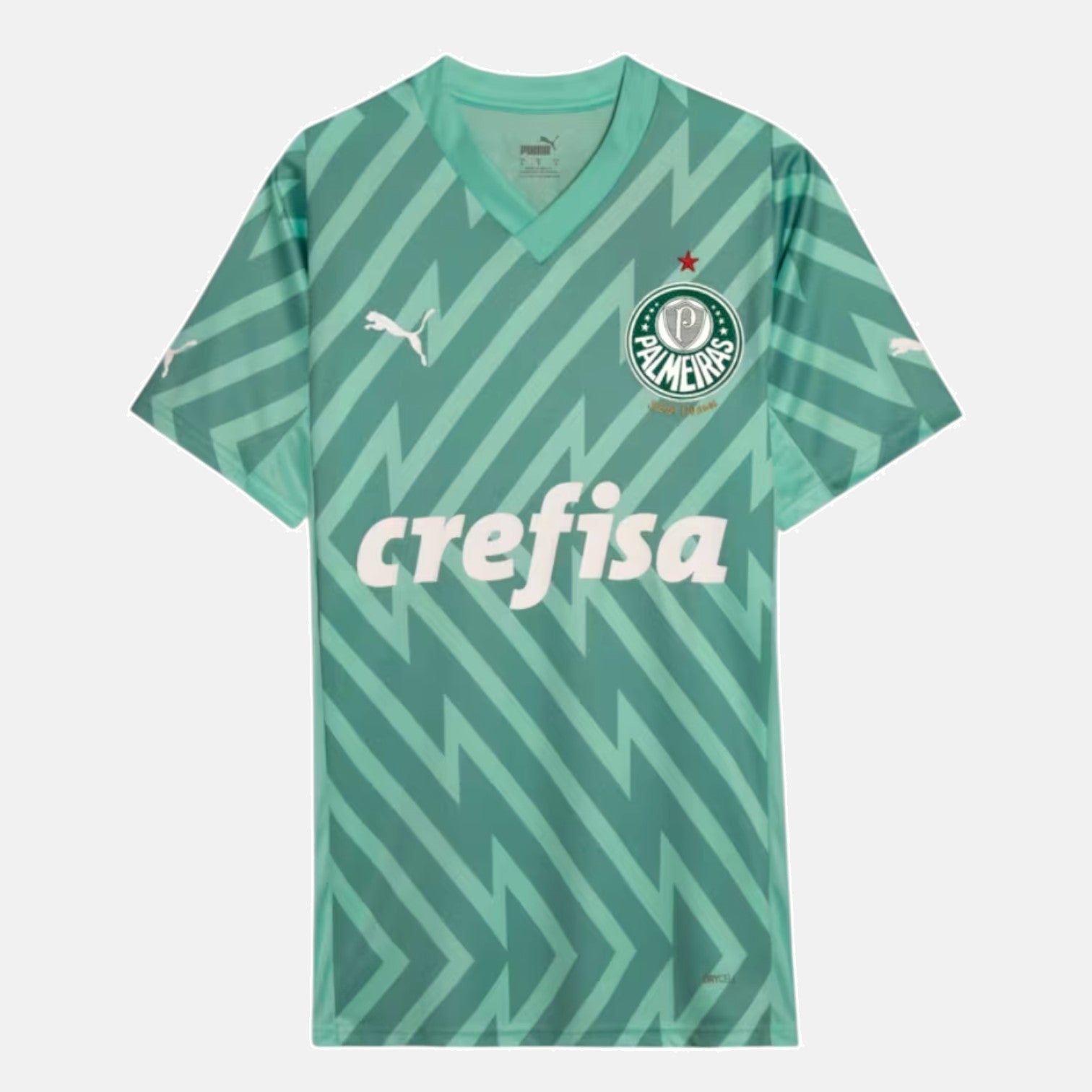 Goalkeeper 24/25 Men's Jersey