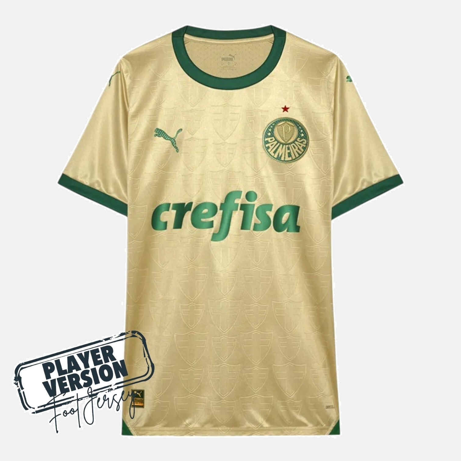 Third 24/25 Men's Player Jersey