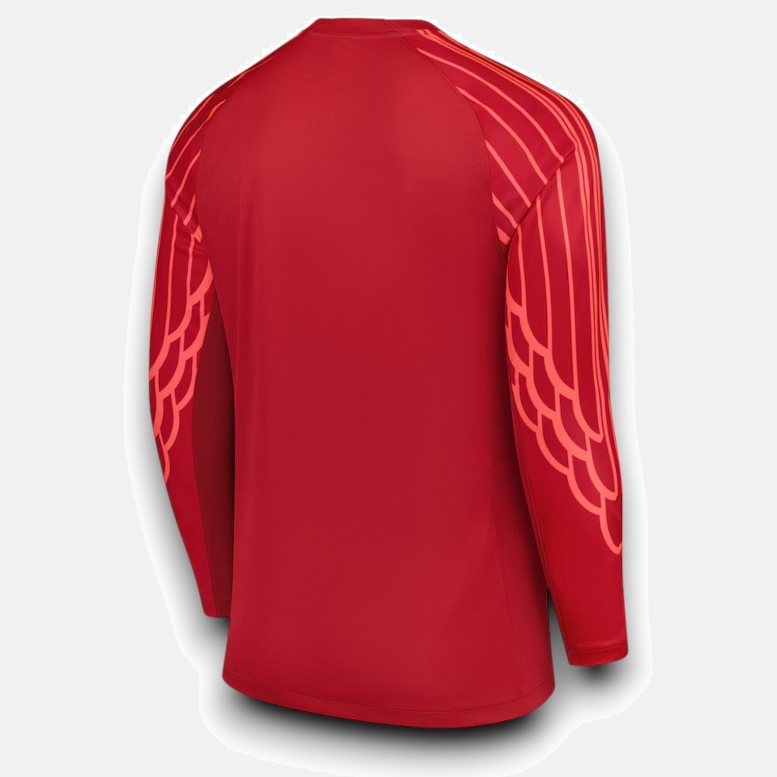 Goalkeeper 24/25 Men's Long Sleeve Jersey