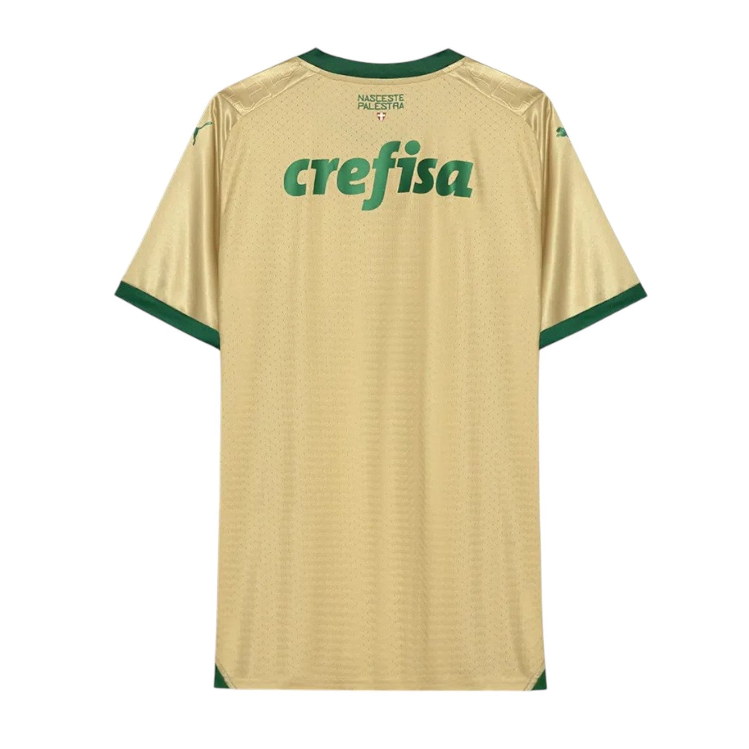 Palmeiras Player Third Jersey 2024/2025